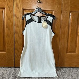 Ladies Dress